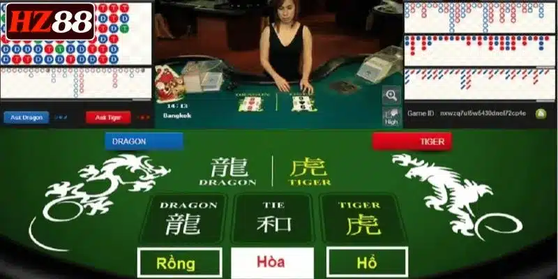 gioi-thieu-bai-rong-ho